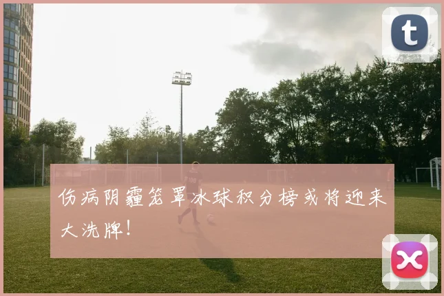伤病阴霾笼罩冰球积分榜或将迎来大洗牌！